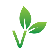 custom_website